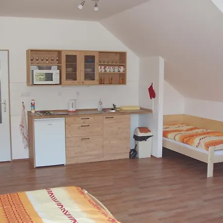 Orbit Karlov Pod Pradedem Homestay *