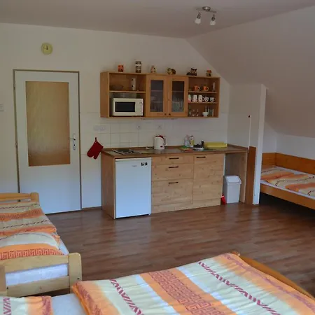 Orbit Karlov Pod Pradedem Rum i privatbostad *